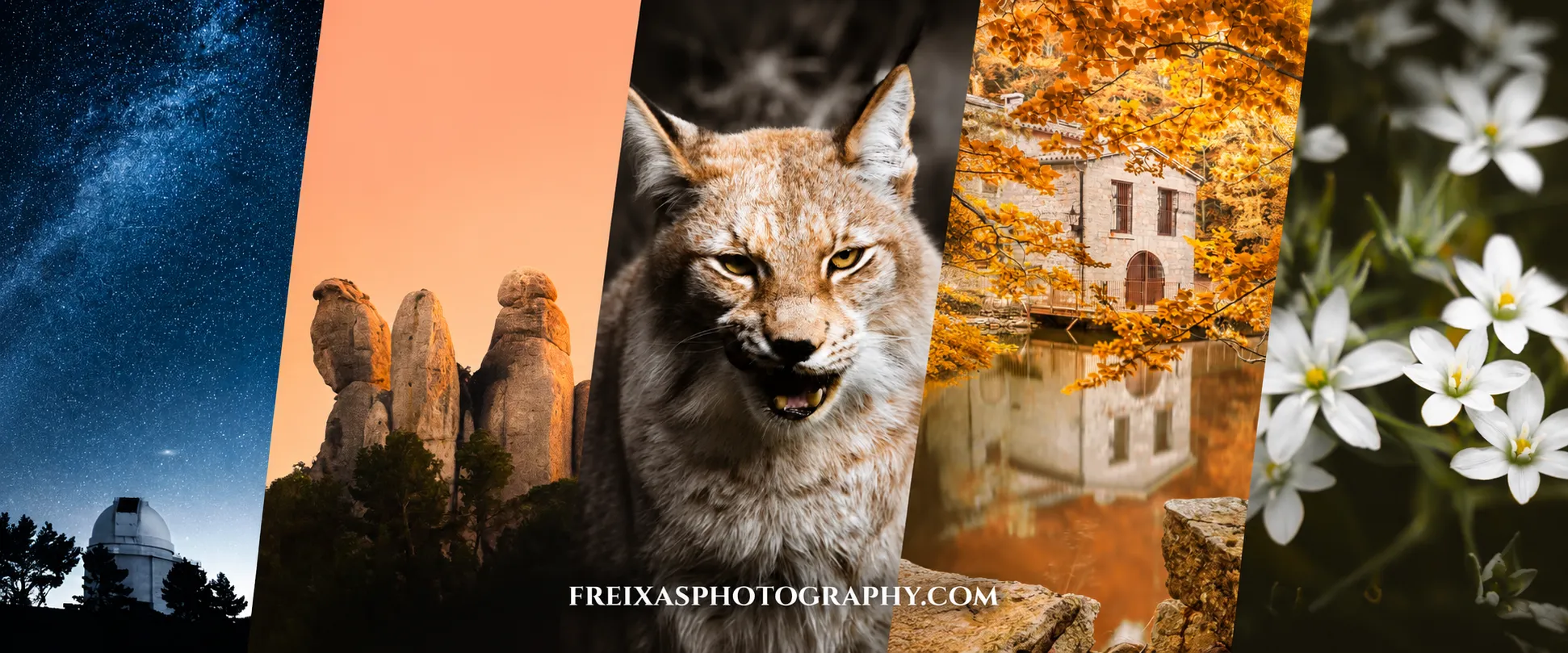 oliver-freixas-fotografia